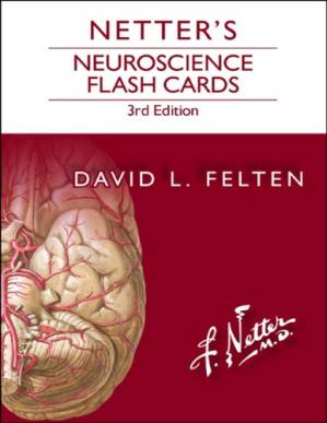 دانلود کتاب Netter’s Neuroscience Flash Cards