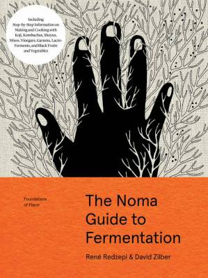 دانلود کتاب The Noma Guide To Fermentation
