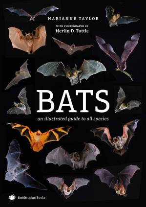 دانلود کتاب Bats: An Illustrated Guide to All Species