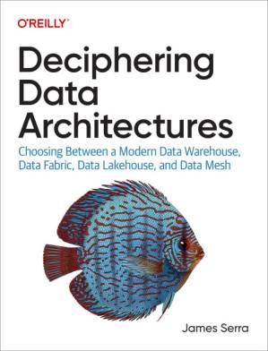 دانلود کتاب Deciphering Data Architectures: Choosing Between a Modern Data Warehous, Data Fabric, Data Lakehouse, and Data Mesh