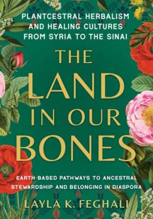 دانلود کتاب The Land in Our Bones