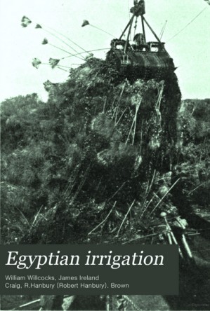 دانلود کتاب Egyptian Irrigation