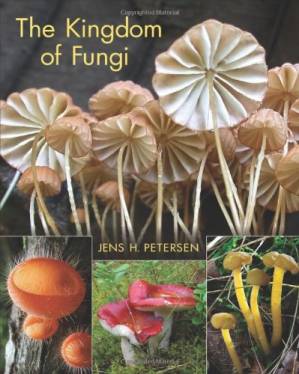 دانلود کتاب The Kingdom of Fungi