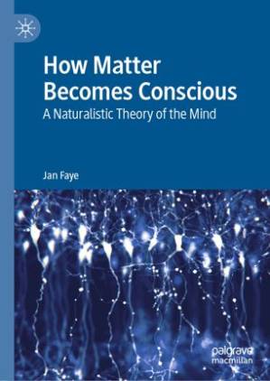 دانلود کتاب How Matter Becomes Conscious: A Naturalistic Theory of the Mind