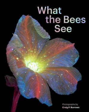دانلود کتاب What the Bees See: A Honeybee’s Eye View of the World