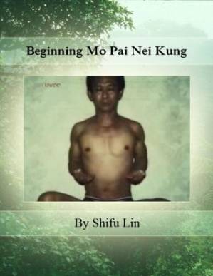 دانلود کتاب Beginning Mo Pai Nei Kung (Third Expanded Edition)