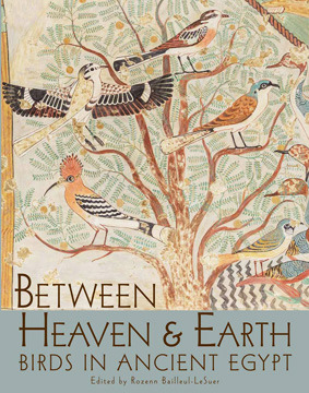 دانلود کتاب Between Heaven and Earth: Birds in Ancient Egypt