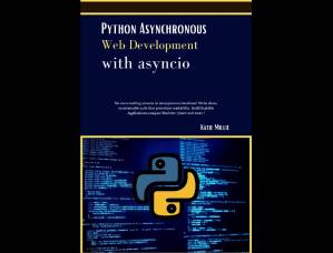 دانلود کتاب Python Asynchronous Web Development with asyncio 2024