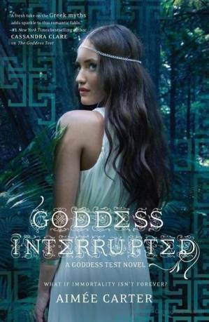 دانلود کتاب Goddess Interrupted