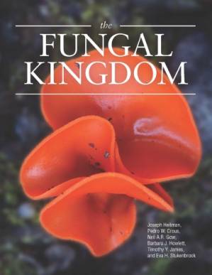 دانلود کتاب The Fungal Kingdom