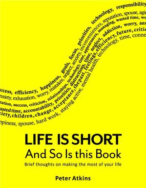 دانلود کتاب Life is Short And So Is This Book: Brief Thoughts On Making The Most Of Your Life