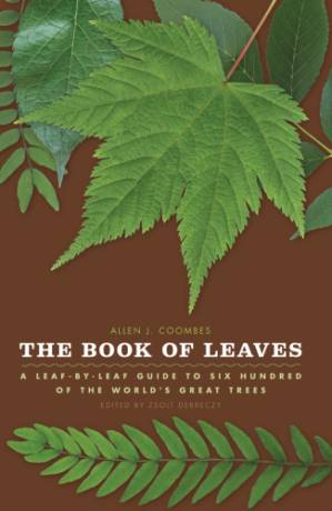 دانلود کتاب The Book of Leaves