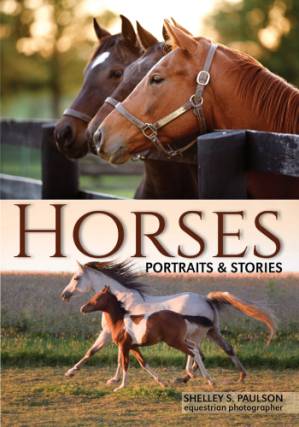دانلود کتاب Horses: Portraits & Stories