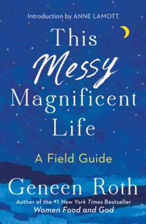 دانلود کتاب This Messy Magnificent Life A Field Guide