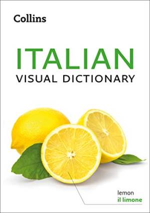 دانلود کتاب Collins Italian Visual Dictionary