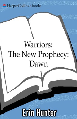 دانلود کتاب Dawn
