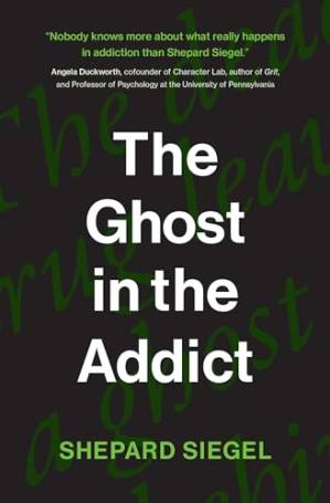 دانلود کتاب The Ghost in the Addict