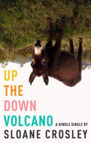 دانلود کتاب Up the Down Volcano