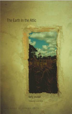 دانلود کتاب The Earth in the Attic