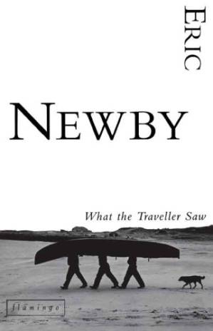 دانلود کتاب What the Traveller Saw