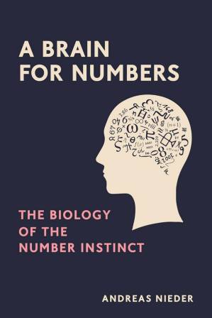 دانلود کتاب A Brain for Numbers: The Biology of the Number Instinct