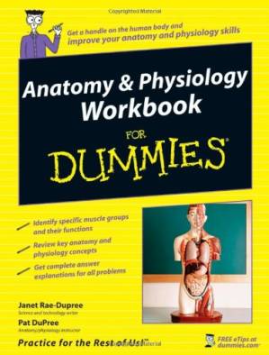 دانلود کتاب Anatomy & Physiology Workbook For Dummies (For Dummies (Math & Science))