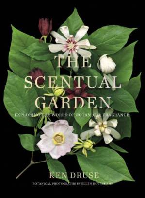 دانلود کتاب دانلود دانلود The Scentual Garden: Exploring the World of Botanical Fragrance