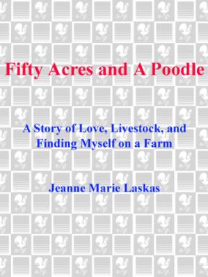 دانلود کتاب Fifty Acres and a Poodle