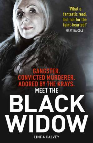 دانلود کتاب The Black Widow: The true crime book of the year