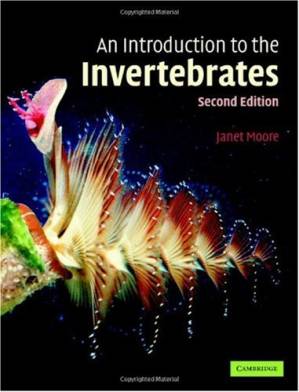 دانلود کتاب An introduction to the invertebrates