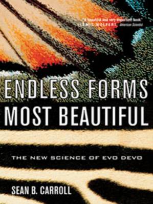 دانلود کتاب Endless Forms Most Beautiful: The New Science of Evo Devo and the Making of the Animal Kingdom