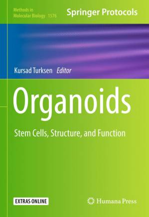 دانلود کتاب Organoids: Stem Cells, Structure, and Function