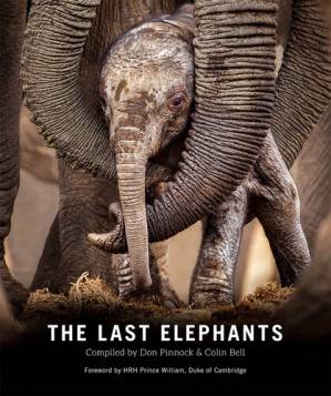 دانلود کتاب The Last Elephants