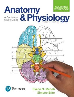 دانلود کتاب Anatomy and Physiology Coloring Workbook: A Complete Study Guide