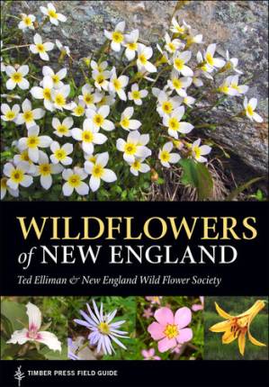 دانلود کتاب Wildflowers of New England