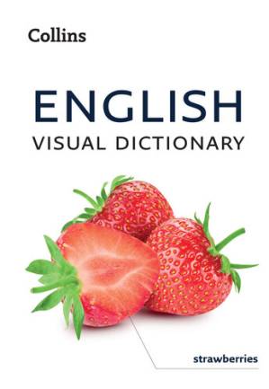 دانلود کتاب English Visual Dictionary: A photo guide to everyday words and phrases in English