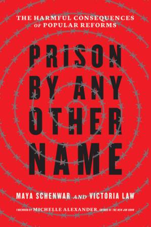 دانلود کتاب Prison by Any Other Name