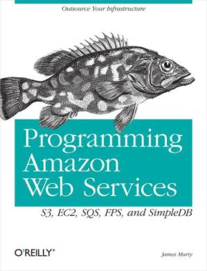 دانلود کتاب Programming Amazon Web Services