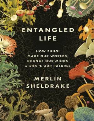 دانلود کتاب Entangled Life : How Fungi Make Our Worlds, Change Our Minds & Shape Our Futures