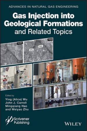 دانلود کتاب Gas Injection into Geological Formations and Related Topics