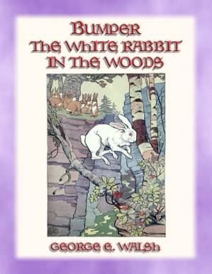 دانلود کتاب BUMPER THE WHITE RABBIT IN THE WOODS – Book 2 in the Bumper the White Rabbit Series