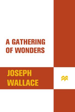 دانلود کتاب A gathering of wonders: behind the scenes at the American Museum of Natural History