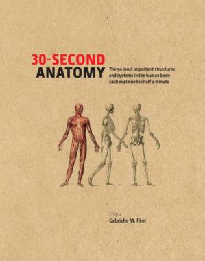 دانلود کتاب 30-Second Anatomy
