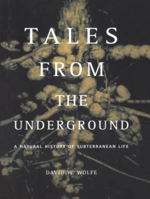 دانلود کتاب Tales From The Underground