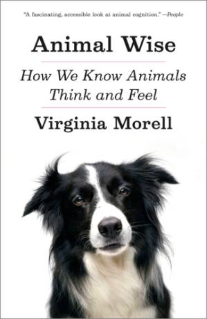 دانلود کتاب Animal wise: how we know animals think and feel