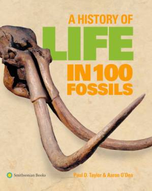 دانلود کتاب A History of Life in 100 Fossils