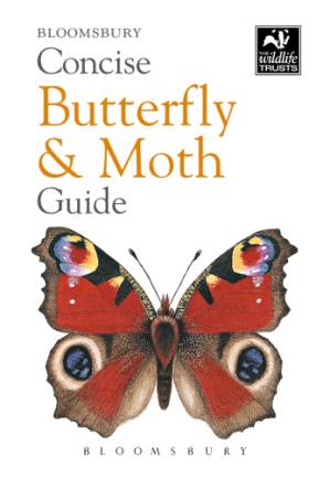 دانلود کتاب Concise Butterfly and Moth Guide