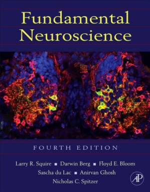 دانلود کتاب Fundamental neuroscience