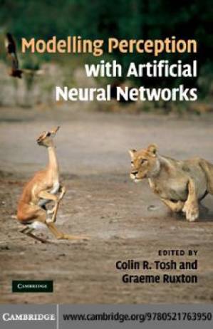 دانلود کتاب Modelling perception with artificial neural networks