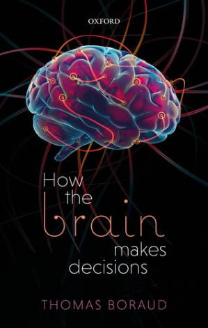دانلود کتاب How the Brain Makes Decisions